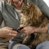 Fiskars Kliešte na pazúry malé Pet Care 2009130