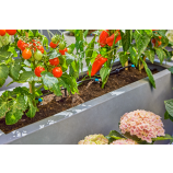 „Gardena“ „Micro-Drip-System“ pradedančiųjų rinkinys terasoms / 30 augalų