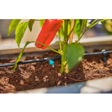 „Gardena“ „Micro-Drip-System“ pradedančiųjų rinkinys terasoms / 30 augalų