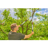 „Gardena TeleCut Basic“, teleskopinės žolės kirpimo žirklės
