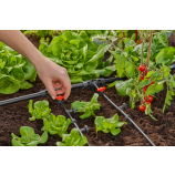 „Gardena“ T-formos jungtis 1/2" – 3/16"