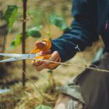 "Fiskars" universalios žirklės, 21 cm 1075031