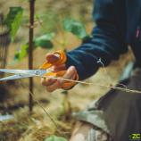 "Fiskars" universalios žirklės, 21 cm 1075031