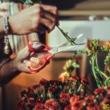 "Fiskars" universalios žirklės kairiarankiams, 21 cm 1075035