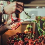 "Fiskars" universalios žirklės kairiarankiams, 21 cm 1075035