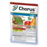 Chorus 50 wg