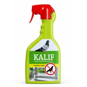 Kalifas Paukščiai ir balandžiai