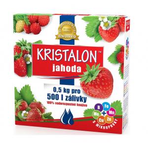 Krištolinė braškė