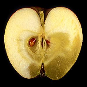 Apple vitališkumas