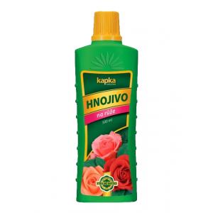 Lašas ant rožės