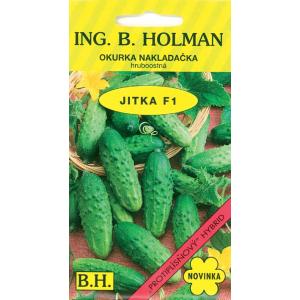 Agurkai Holman Jitka F1 hr