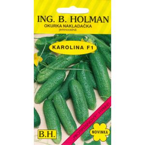 Agurkas Holman Karolína hu F1