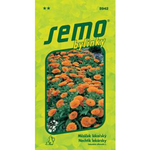 Medetkų sėklos 1g