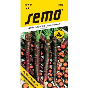 Semo Carrot Purple Haze F1 morkų pusiau oranžinė violetinė 350s