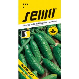 Sėkliniai agurkai Blanka Blanka F1 1,5 g