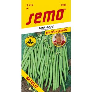 Sėklų krūmo pupelės Green Fleuret Mascaret 7g