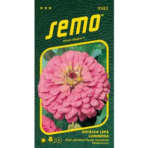 Sėklos Spurge Luminosa rožinės spalvos 0,7 g
