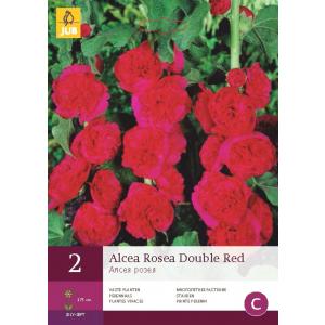 Ibis rožinė DOUBLE RED "B"