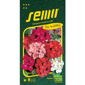 Pelargonijų mišinio sėklos 11s