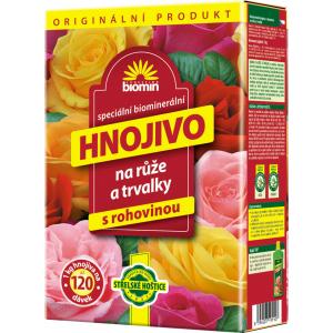 Orgaminas rožė