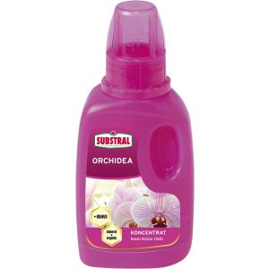 Substralinės skystos orchidėjos