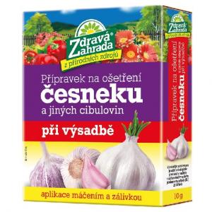 Sveikas sodo paruošimas česnakams gydyti