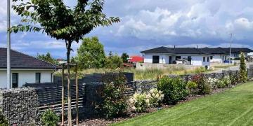 Įrenginėjate dekoratyvinę lysvę? Nedarykite šių 5 klaidų!